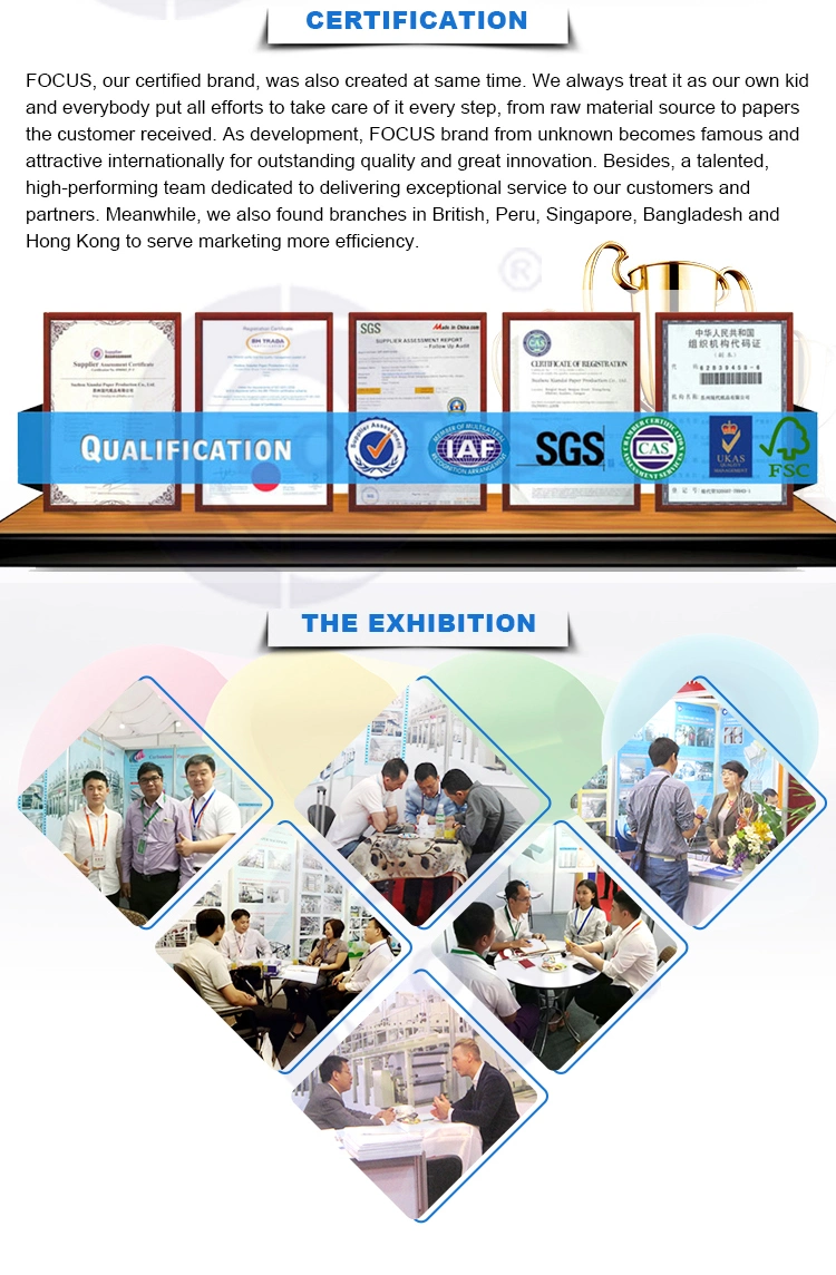 Κορυφαίο έγγραφο Glassin προμηθευτών Manufacturer& εμπορικών σημάτων εστίασης