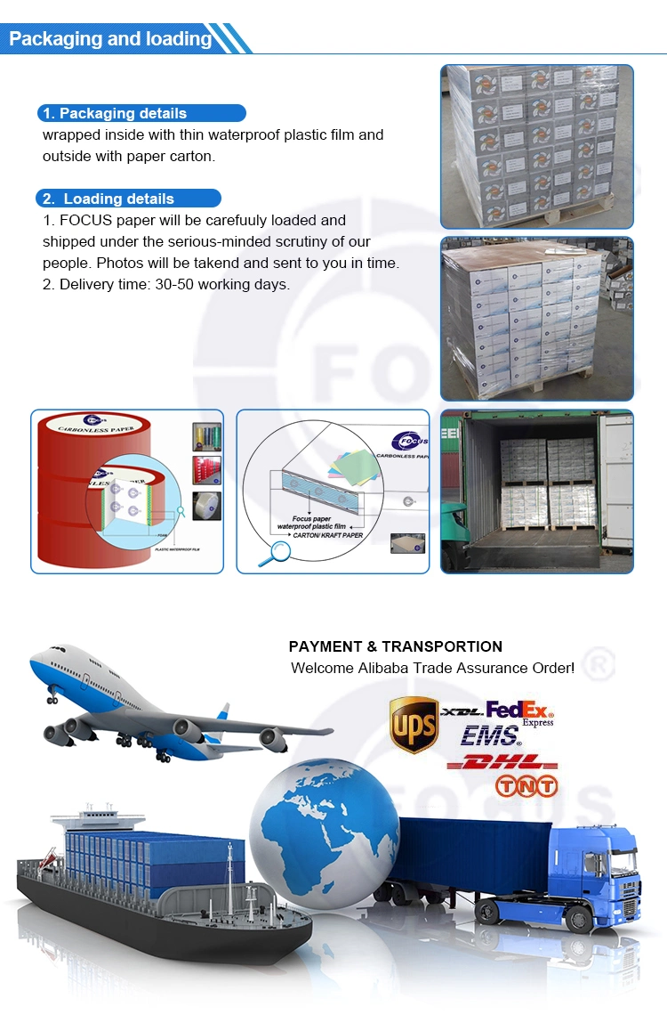 Κορυφαίο έγγραφο Glassin προμηθευτών Manufacturer& εμπορικών σημάτων εστίασης