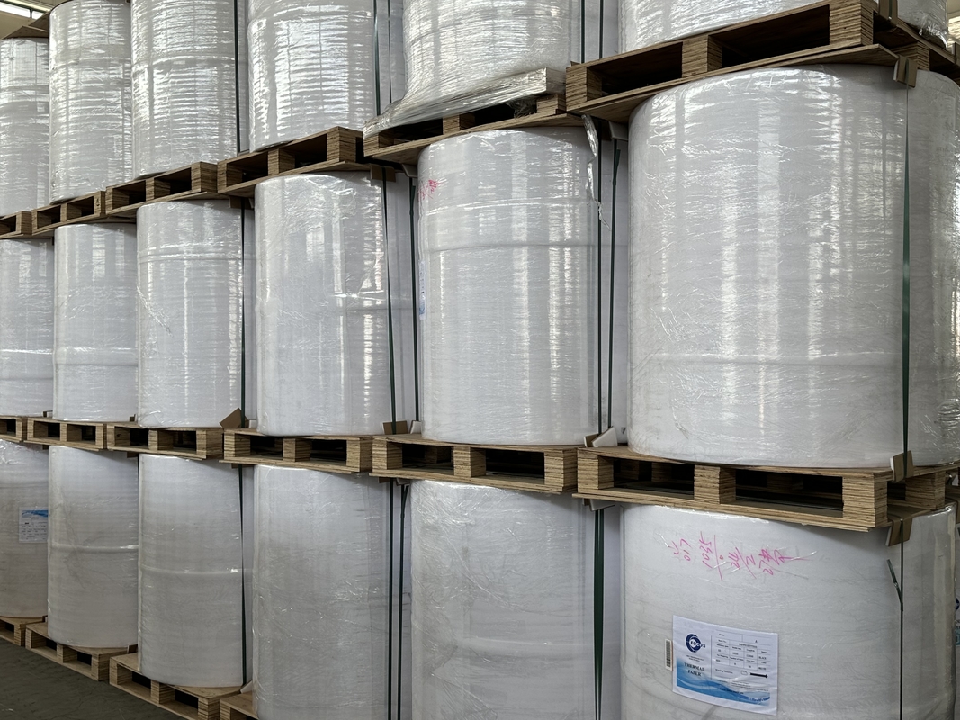 FOCUS Prime 100% Imported Virgin Wood Pulp 45g/48g/50g/55g/65g Thermal Paper Jumbo Rolls