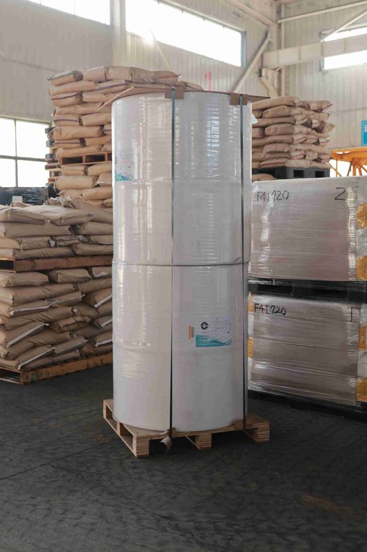 BPA Free Focus Brand Thermal Paper High Smoothness Suitable Optical Density 100% Imported Wood Pulp