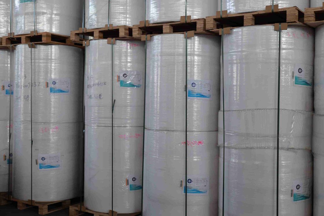 BPA-Free Thermal Paper Roll for POS Receipts – 5+ Year Image Life